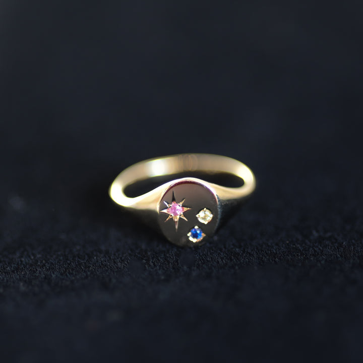 Classic Circle Signet Ring – Customized Compass Birthstone 14K Solid Gold Band