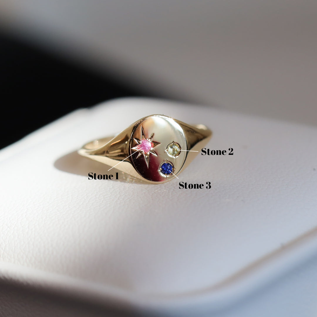 Classic Circle Signet Ring – Customized Compass Birthstone 14K Solid Gold Band