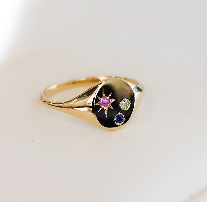 Classic Circle Signet Ring – Customized Compass Birthstone 14K Solid Gold Band