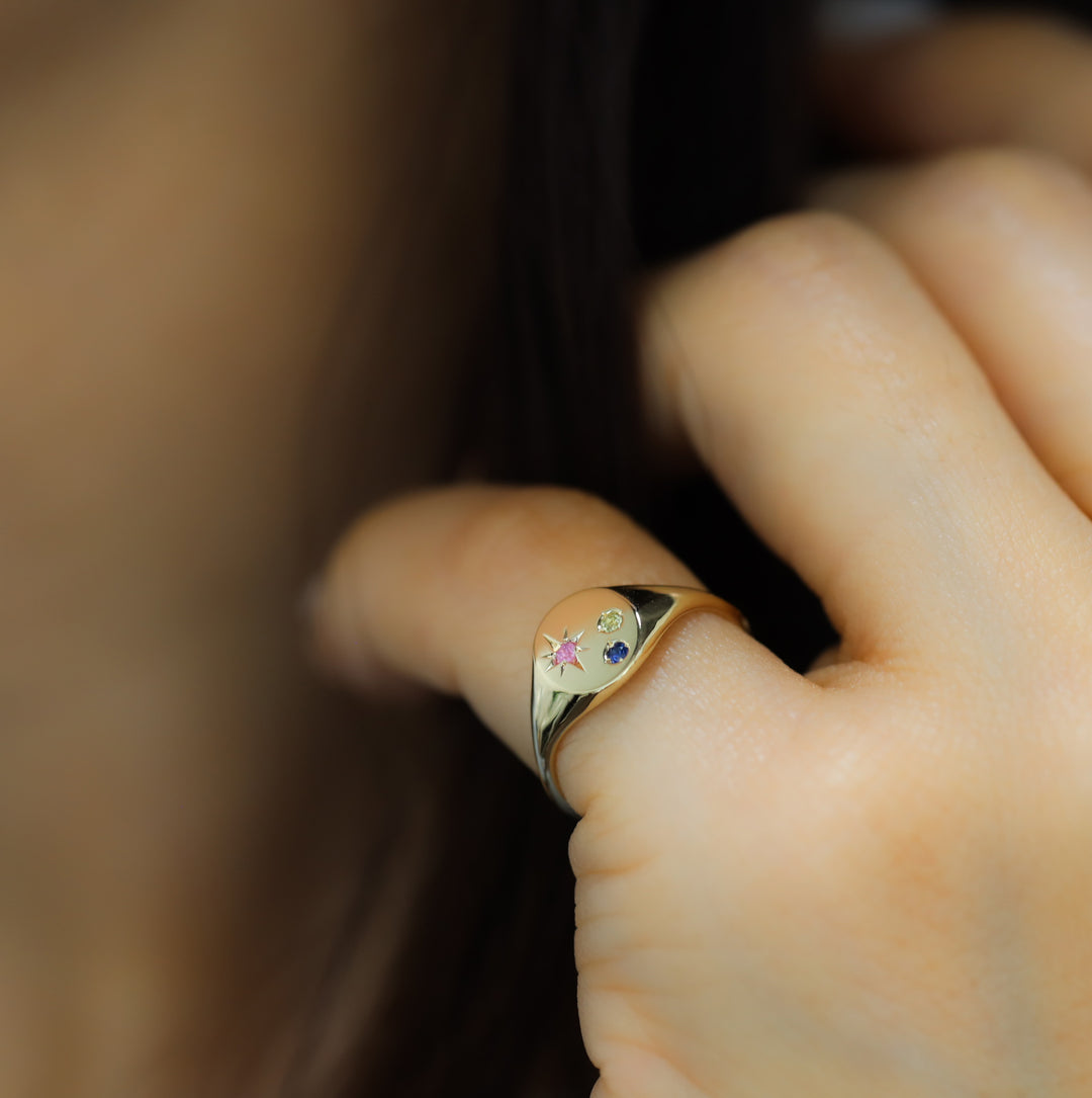 Classic Circle Signet Ring – Customized Compass Birthstone 14K Solid Gold Band