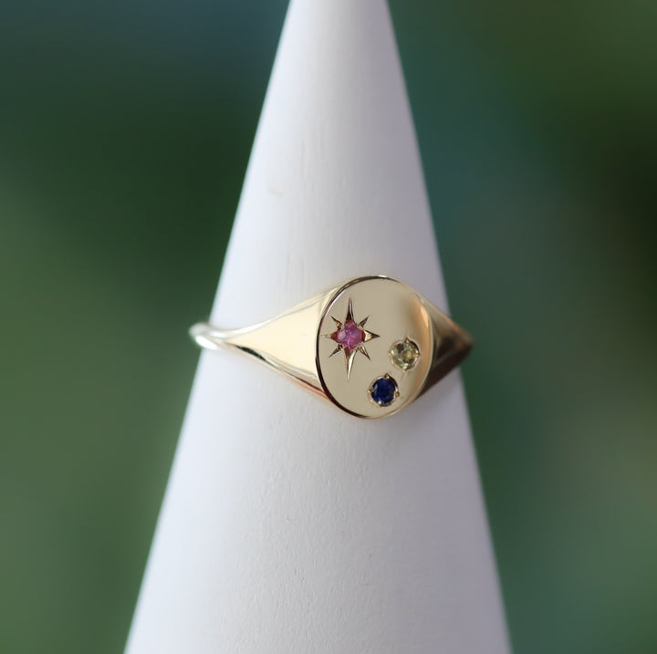 Classic Circle Signet Ring – Customized Compass Birthstone 14K Solid Gold Band